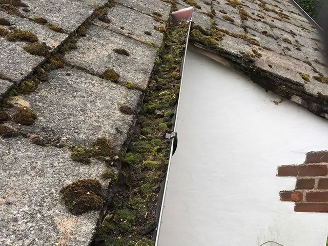 Gutter Cleaning Before Clean