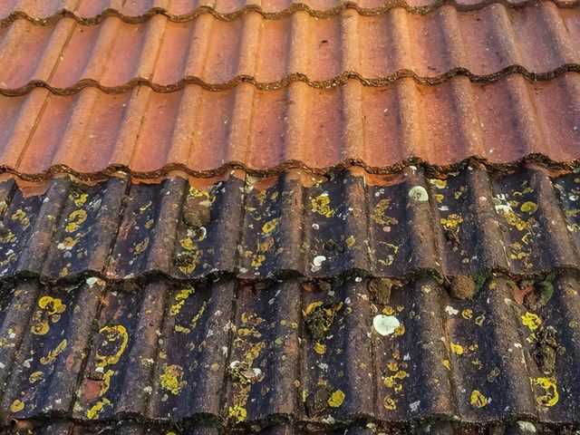 Roof Cleaning Services Sale