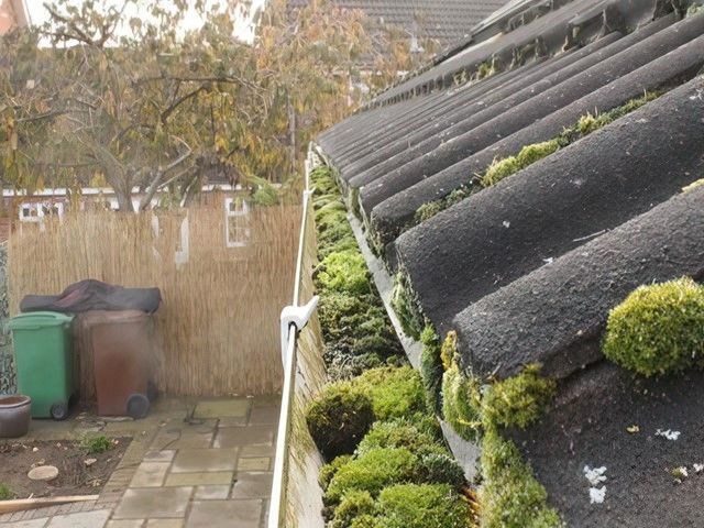 images/gutter-cleaning/slider/gutter-cleaning-3-kireth-ai.jpg